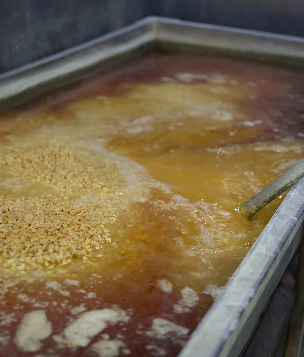 Corn soaking in the nixtamal tank at the tortillería
